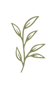 Herbs (olive).png
