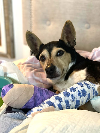 unnamed (2)_edited.jpg