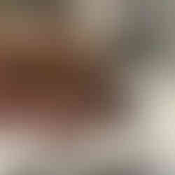 Tan young dog with mange resting her head while her swollen, irritated paw with hair loss and crusting is visible