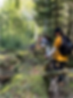 Wabanaki Healing Forest nature walks