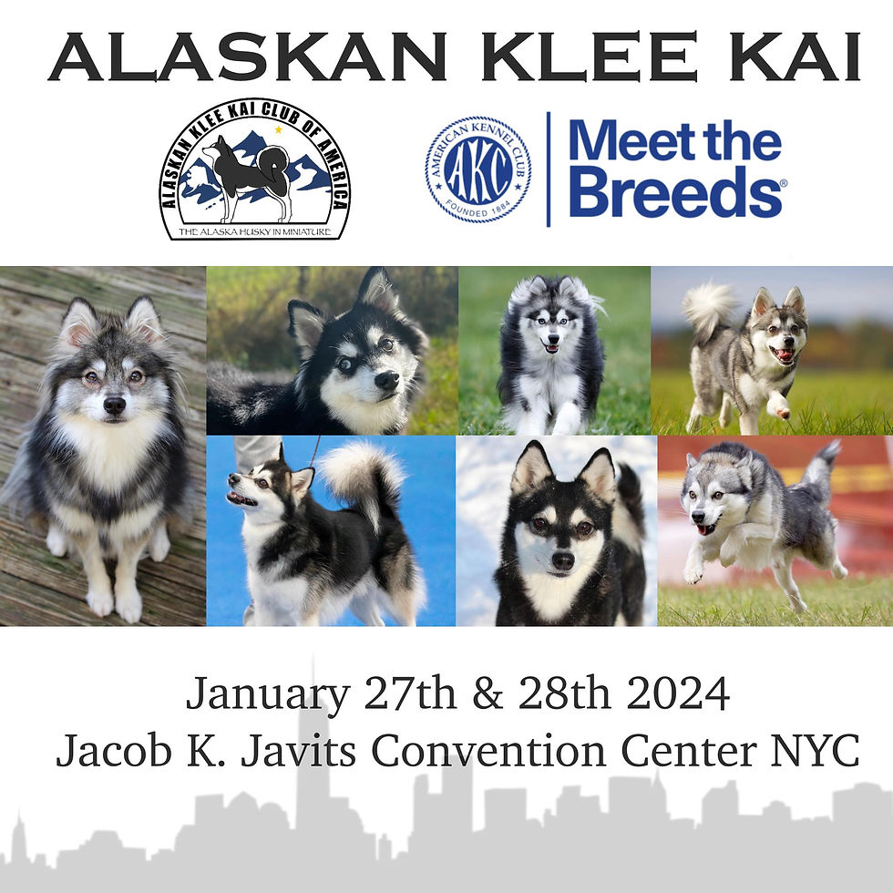 Meet the Breed - NY