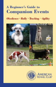 Companion Events.png