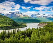 Screenshot (152).png