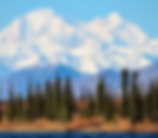 Screenshot (148).png