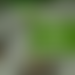          Thoughts on “Eyes of Faith” by Smith Wigglesworth