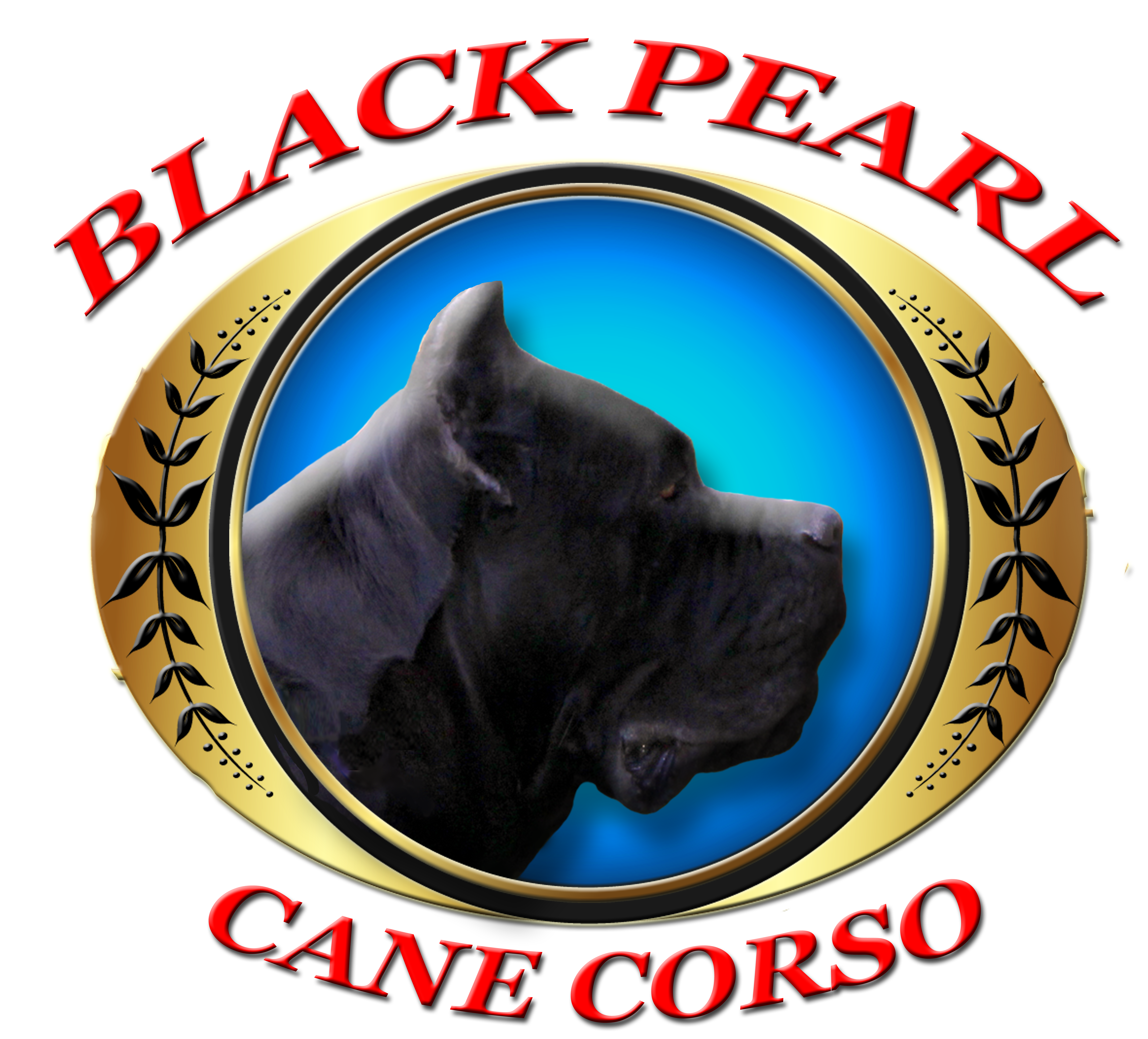 The Italian Cane Corso