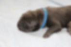 At 1 day old