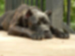 Taking a nap
