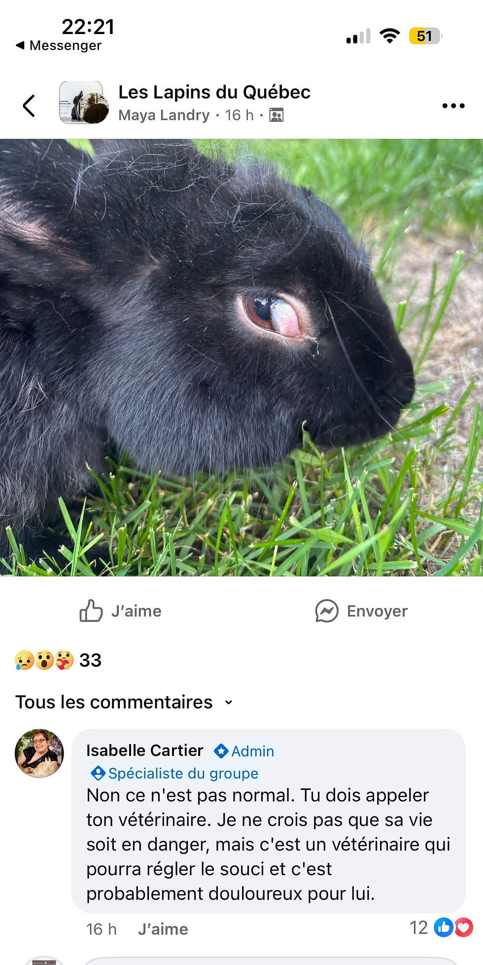 Un exemple d’incompétence parmis tant d’autres, il s’agit de la troisième paupière qui est souvent plus apparente chez les gros lapins lors d’un stress ou lorsqu’ils sont vraiment relax. Il n’y a aucune urgence vétérinaire ici, et le membre va juste perdre de l’argent lors d’une consultation.