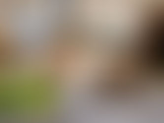 Mon lapin vient d’arriver à la maison et ne mange plus: quand faut-il s’inquiéter ?