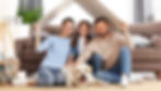 BIP Agencia Banner.jpg