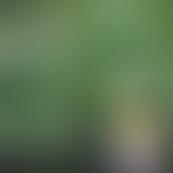 Bigger is not better