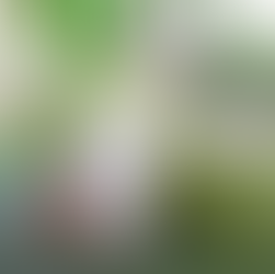 Delta 9 Mocktail Recipes: Island Bliss with Buzz Powder!