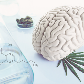 The Cannabinoid Express