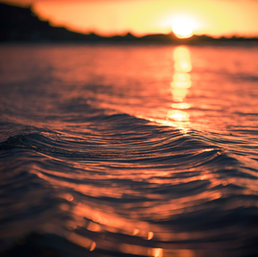 Get Into the Flow State With Flowerade