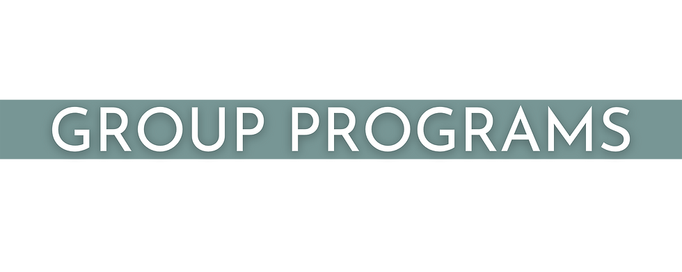 prog(1).png