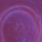 Copy of Untitled Design(6).png