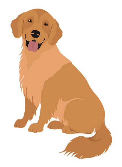 golden retriever puppies in california