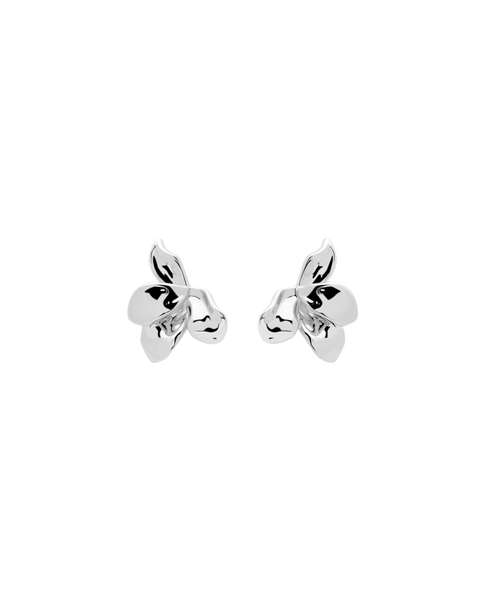 Miniaturbild: PENDIENTES NARCISE SILVER