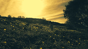 Bella dream still.jpg