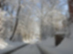 Ein herrlicher, sonniger Wintertag in Veitsbronn 2010 - Puschendorfer Straße umsäumt von Bäumen mit Schnee