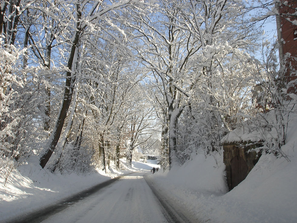 Eine sonnige Winterstraße in Veitsbronn im Winter 2010 umringt von Bäumen im Schnee