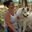 Photo du rédacteur: Sweet doggy dog