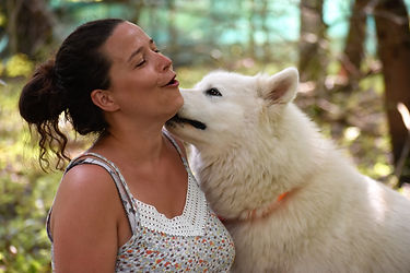 pet sitting pet sitter balade collective de chiens garde de chien lesparre