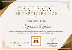 pet sitting pet sitter balade collective de chiens garde de chien lesparre