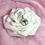 Miniature : Collier rond