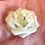 Miniature : Collier rond
