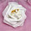 Miniature : Bague ovale