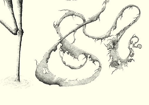 Ghost Heron closeup 3