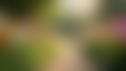 Personalized Care for Senior Women at Manchester Gardens