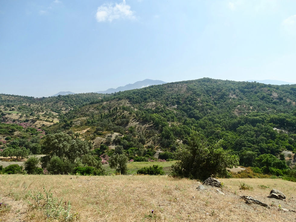 Paysage près de Ouazzane, lauriers-roses, Rif, Maroc