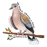 16- Turtledove.png