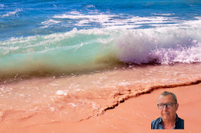 Formation d'été à la supervision systémique