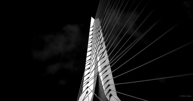 Architecture " Rotterdam" 