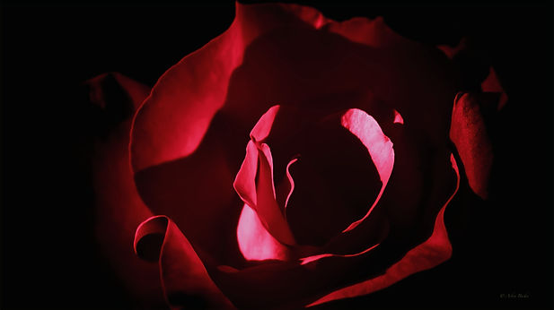 SDIM9941 (1)_edited.jpg