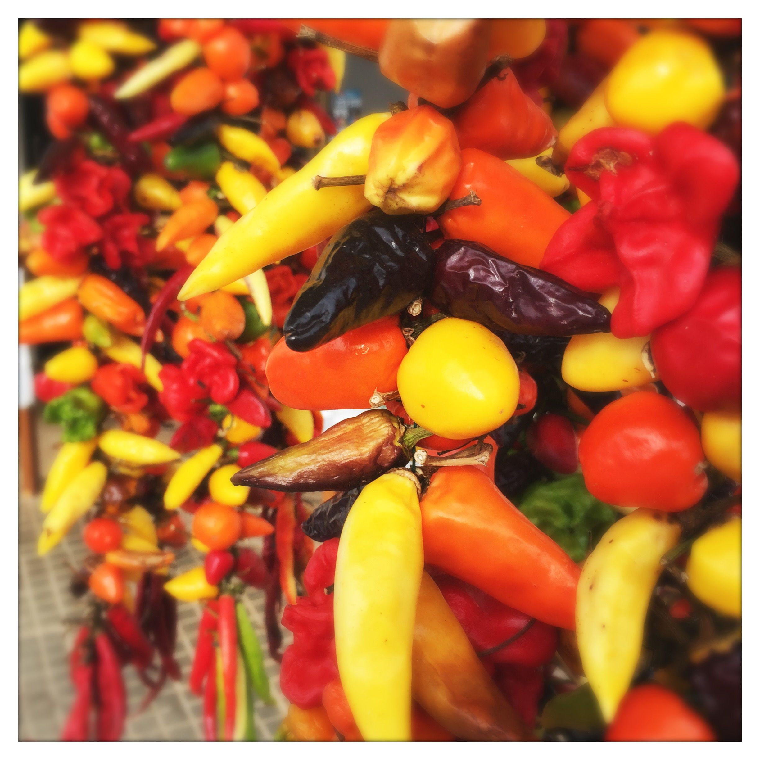 Foto-Block | Mallorca 18