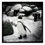 Miniaturbild: Foto-Block | Stuttgart, Pinguin