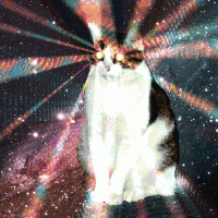 200.gif