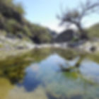 Reserva Natural Quebrada del Palmar 12 (2).jpg