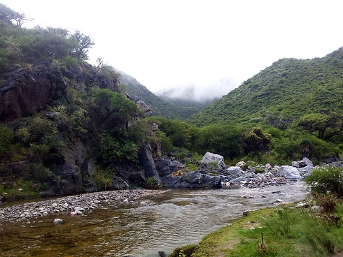 reserva natural, quebrada del palmar