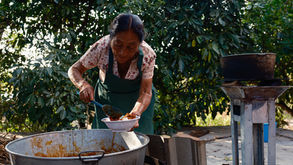 Slow Disasters in Oaxaca: Thinking and Cooking for the Soil