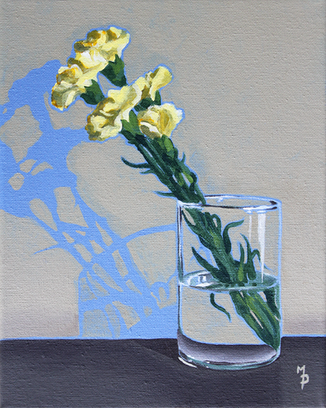 carnations megan piunti