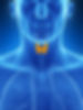 Prise en charge des dysthyroïdies chez l’adulte : Hypothyroidies