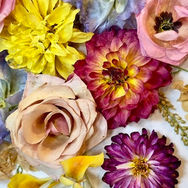 Close-up of Radhika's preserved flowers in vivid pink, yellow and magenta.