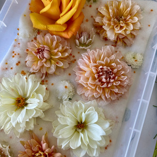 ahlias and a rose being preserved in silica gel sand — 3D wedding flower preservation process