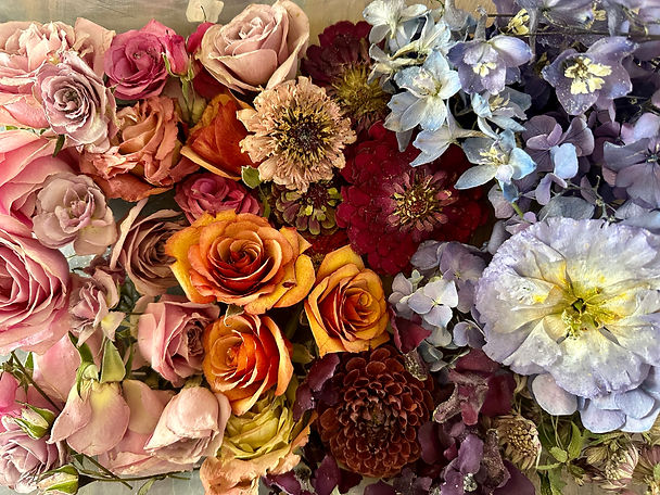 Close up of preserved flowers laying flat in rainbow of colours